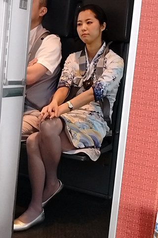 41336.jpg